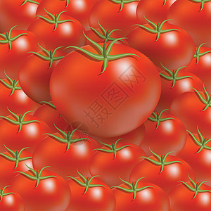 番茄背景烹饪香菜蔬菜饮食宏观食物市场材料植物营养图片