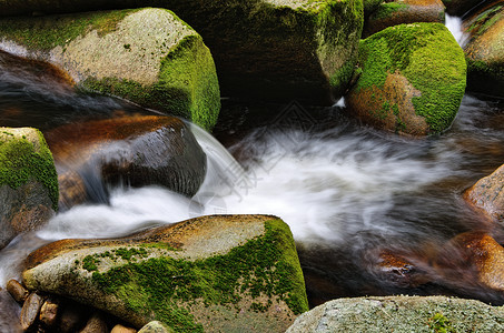 小型瀑水细节叶子溪流岩石森林公园风景木头石头激流苔藓图片
