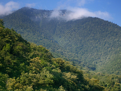 俯视高加索山脉阿布哈兹的景观图景 阿布哈齐亚露天审查蓝色阴霾木头顶层绿色山坡照片天空图片