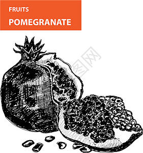 Pemagroate 颗粒石艺术风格草图水果石榴种子厨房热带插图绘画图片