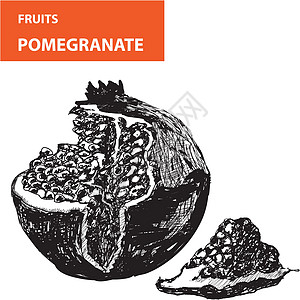 Pemagroate 颗粒石装饰水果石榴种子热带涂鸦果汁厨房风格草图图片