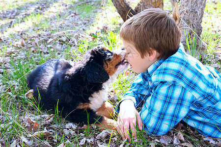 男孩和小狗乐趣犬类场地男生棕色孩子绿色白色朋友宠物图片