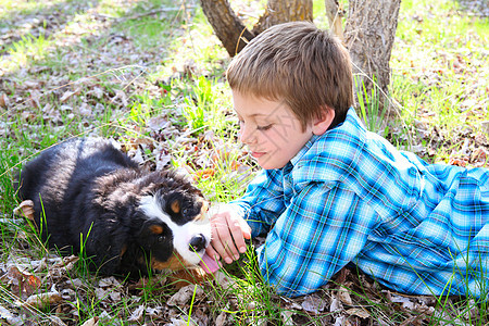 男孩和小狗绿色动物男生伴侣朋友棕色场地宠物孩子乐趣图片