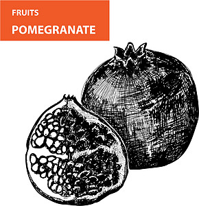 Pemagroate 颗粒石涂鸦水果绘画生物石榴果汁厨房装饰风格插图图片