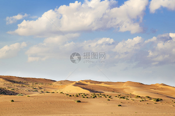 瓦希巴阿曼沙漠蓝色植物灌木丛天空旱谷绿色沙丘假期旅行衬套图片