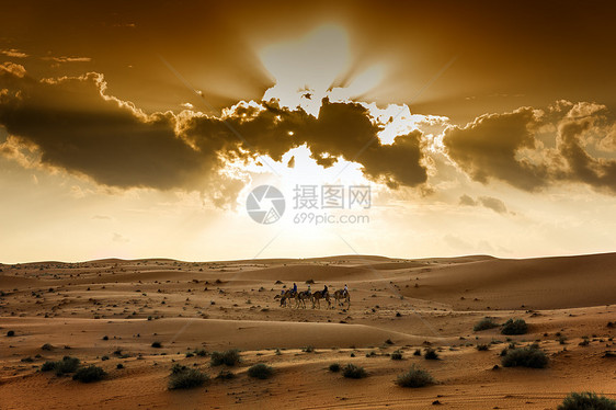 瓦希巴阿曼沙漠旱谷蓝色旅行游客沙丘团体骆驼天空植物情绪图片