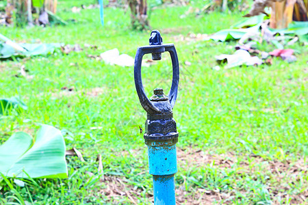 花园农用供水系统喷水器乡村塑料水分喷雾器园艺绿色液体技术生长环境图片