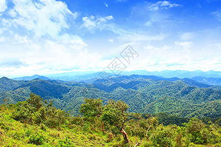 河谷的视线向北边1200米的高峰木头森林旅行薄雾场景环境季节天空国家公园图片