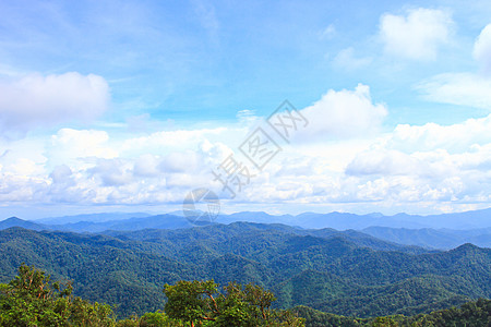 河谷的视线向北边1200米的高峰国家农村松树薄雾天气公园场景旅行环境天空图片