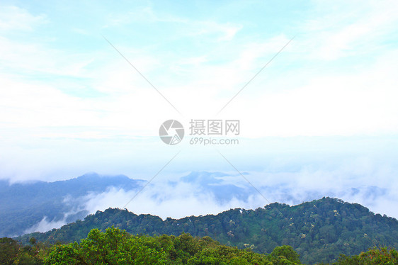 雾海以森林为前景 这里位于开河中季节蓝色公园旅行天空全景松树国家薄雾橙子图片