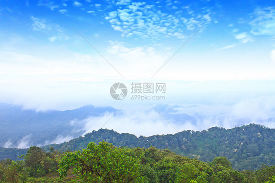 雾海以森林为前景 这里位于开河中薄雾松树全景蓝色天气场景环境农村天空橙子图片