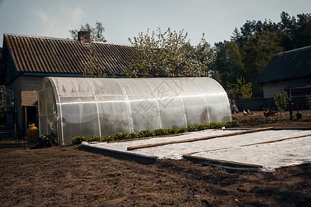 温室气体收获乡村植物花园农业蔬菜生长培育盆栽塑料图片