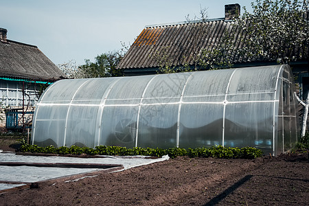 温室气体房子绿色玻璃幼苗收获蔬菜花园乡村塑料植物图片