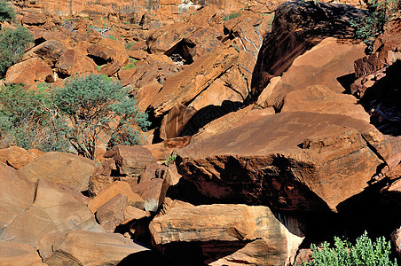 纳米比亚的岩石雕刻荒野巨石动物岩画野生动物艺术版画红色橙子蚀刻图片