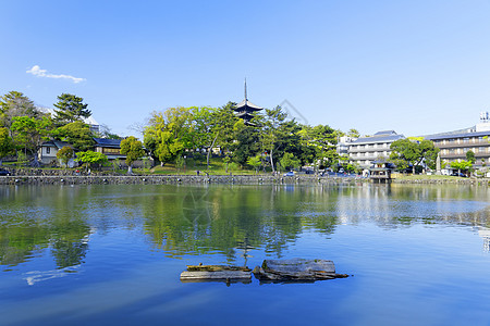 娜拉 日本沙鲁萨瓦池塘风景历史市中心佛教徒建筑学场景天际宝塔寺庙神社图片