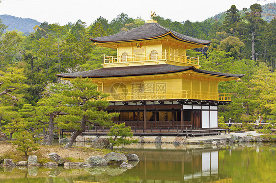 京都金殿寺金馆 日本京都观光池塘佛教徒历史性吸引力松树遗产反射宗教旅行图片