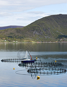 养鱼业农业养鱼场海岸渔业海鲜农场蓝色海洋钓鱼商业图片