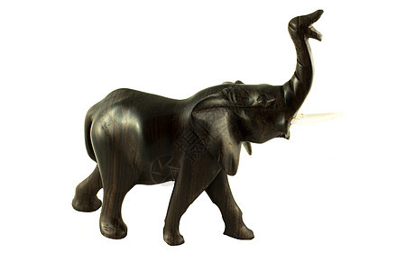 木木象棕色雕刻哺乳动物文化玩具雕塑象牙荒野獠牙艺术图片