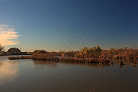 诺沃山谷运河自然保护区河口植被湿地小马废墟沼泽图片