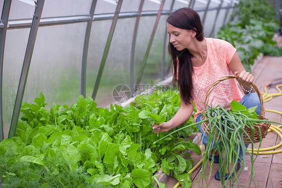 在温室里拿着一篮绿菜和洋葱的年轻女子农场沙拉季节蔬菜幸福水果萝卜女性饮食女孩图片