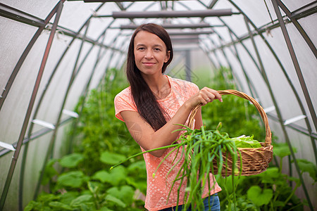 在温室里拿着一篮绿菜和洋葱的年轻女子水果菠菜篮子农场食物季节营养沙拉饮食蔬菜图片