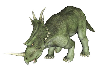 龙卷风白色灭绝博物馆动物野生动物爬行动物爬虫插图侏罗纪怪物图片