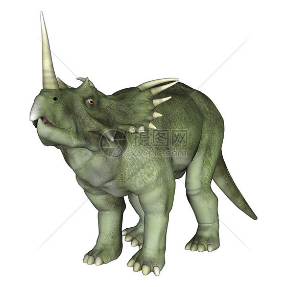 恐龙电极词库博物馆动物侏罗纪尖刺怪物爬虫草食性危险灭绝古生物学图片
