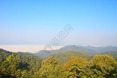 以森林为前景的雾大海橙子蓝色季节木头农村旅行环境天气松树国家图片