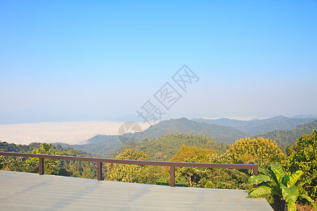 以森林为前景的雾大海旅行环境国家全景季节木头场景薄雾蓝色松树图片