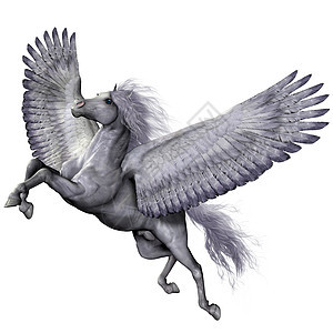 银翼Pegasus图片