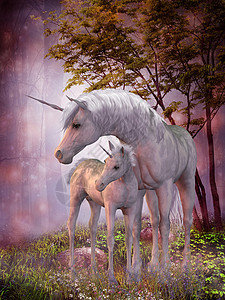 独角兽马和福尔小马动物故事喇叭家畜森林童话骏马寓言马力图片