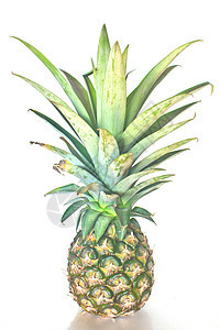 菠萝肉质食物热带甜点情调白色松树黄色异国水果图片
