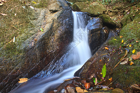 深森林自然瀑布公园风景叶子池塘石头天堂季节苔藓岩石反射图片