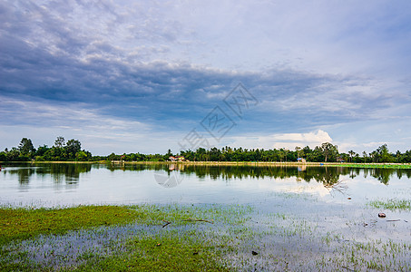 春天的池塘植物气候绿色草地蓝色森林环境天空生活场景图片