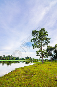 春天的池塘森林假期蓝色环境气候乡村场景绿色植物天空图片