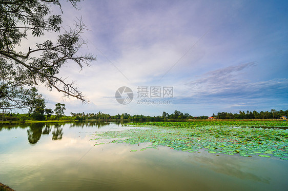 春天的池塘公园乡村草地季节绿色场景蓝色环境天空生活图片