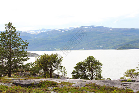 挪威风貌游客边缘石头太阳天空山脉海滩松树海景假期图片