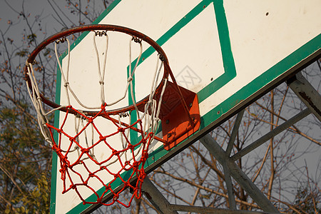 篮球圈木头韧性运动风景边缘硬木团队篮球框健身房地面图片