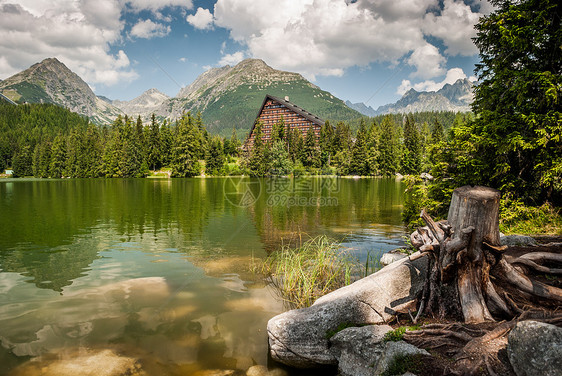 夏季在山中池塘风景针叶树桩建筑树干土地石头旅行支撑酒店图片
