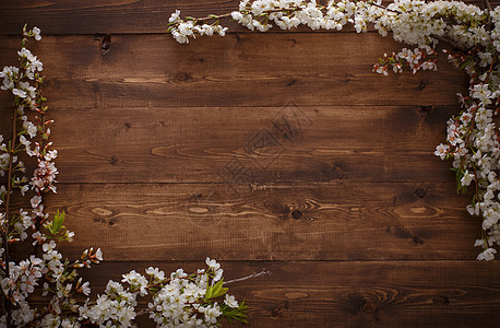 木质背景的鲜花木工资源木材材料墙纸木板乡村纹理轻木地板图片