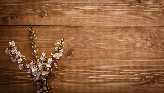 木质背景的鲜花木板硬木地板平行线纹理乡村岩石木材木头国家图片