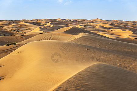瓦希巴阿曼沙漠天空旅行旱谷植物蓝色衬套假期灌木丛沙丘绿色图片