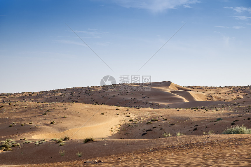 瓦希巴阿曼沙漠假期植物旱谷沙丘绿色旅行天空灌木丛衬套蓝色图片