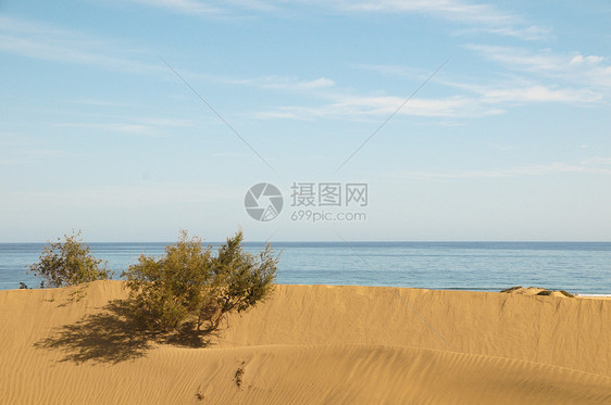 沙丘沙漠旅行太阳景观天空日落橙子图片