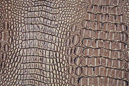 鳄鱼皮肤纹理动物巧克力野生动物模仿爬虫蜥蜴框架宏观织物纺织品图片