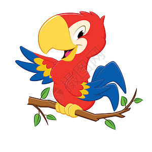 卡通鹦鹉红色叶子动物翅膀吉祥物黄色动物园微笑热带绘画图片