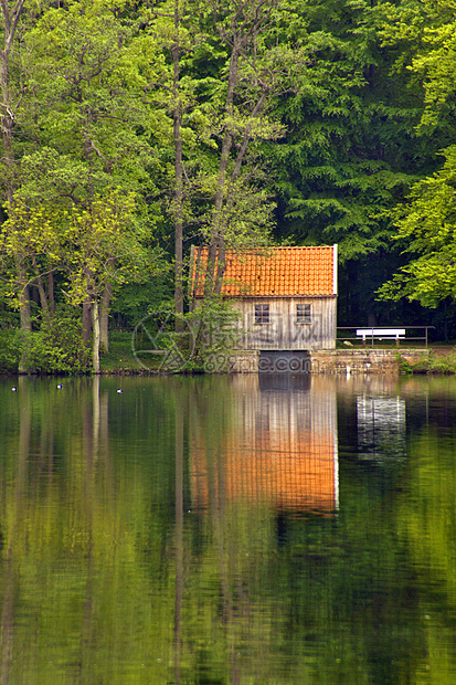 湖边小屋反射木屋房子树木森林田园诗窗户林业建筑季节图片