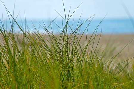 马拉姆草海洋景观农村蓝色蓝天保护区地区保护天蓝色天空图片
