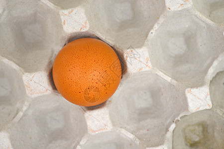 蛋蛋盒棕色影棚食物纸盒图片