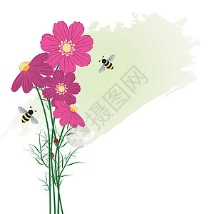 带蜜蜂背景的春季多彩花朵图片